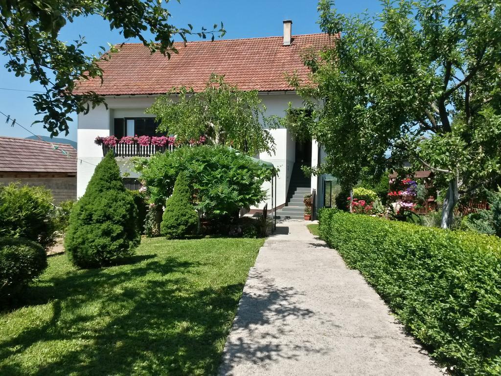Guesthouse Pavlicic Drežnik Grad Εξωτερικό φωτογραφία