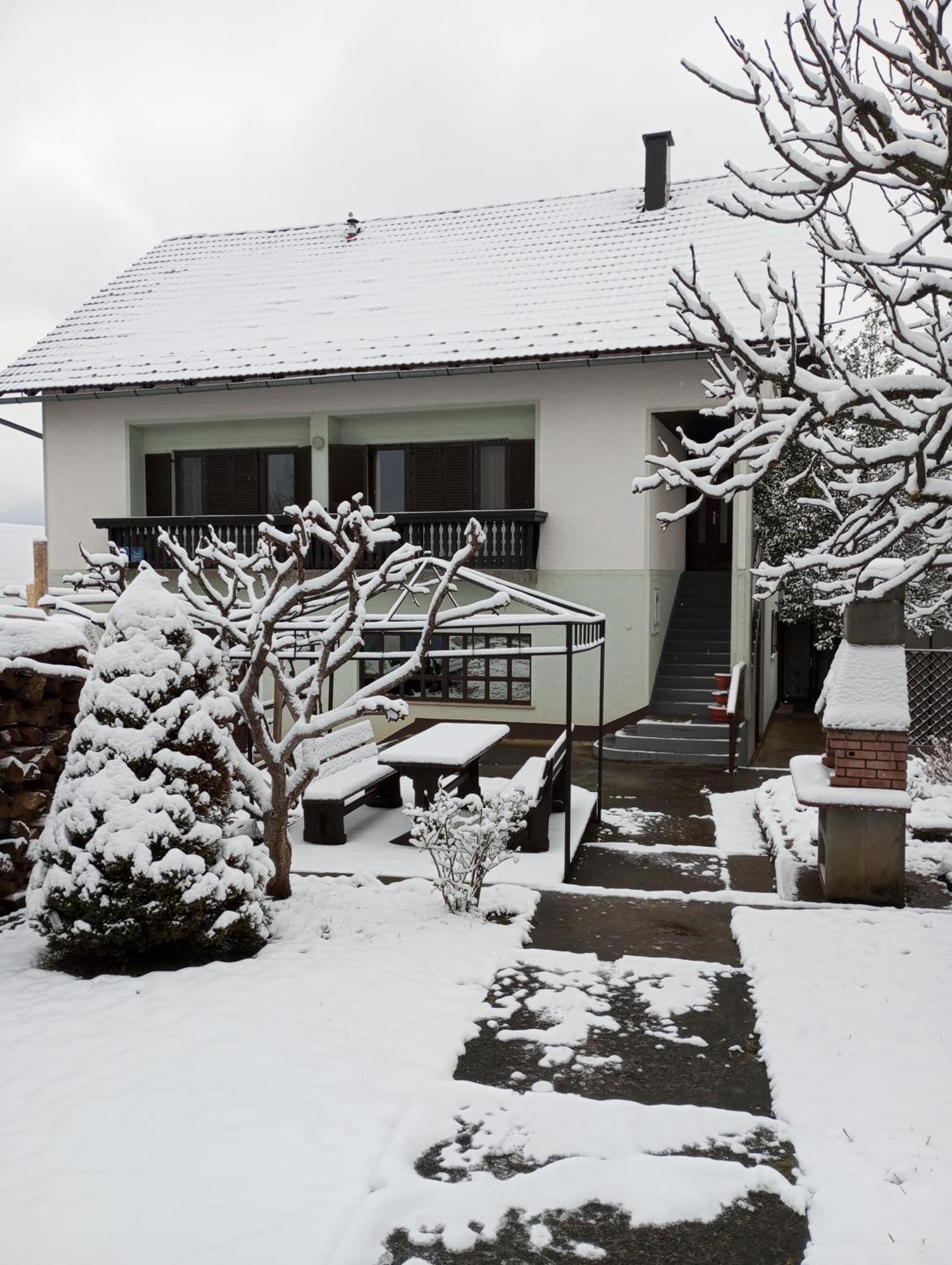 Guesthouse Pavlicic Drežnik Grad Εξωτερικό φωτογραφία