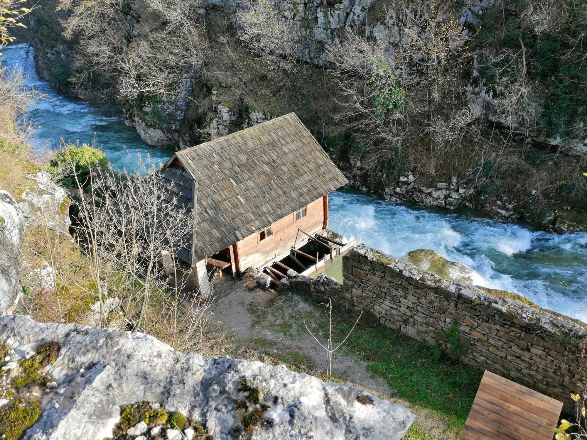 Guesthouse Pavlicic Drežnik Grad Εξωτερικό φωτογραφία