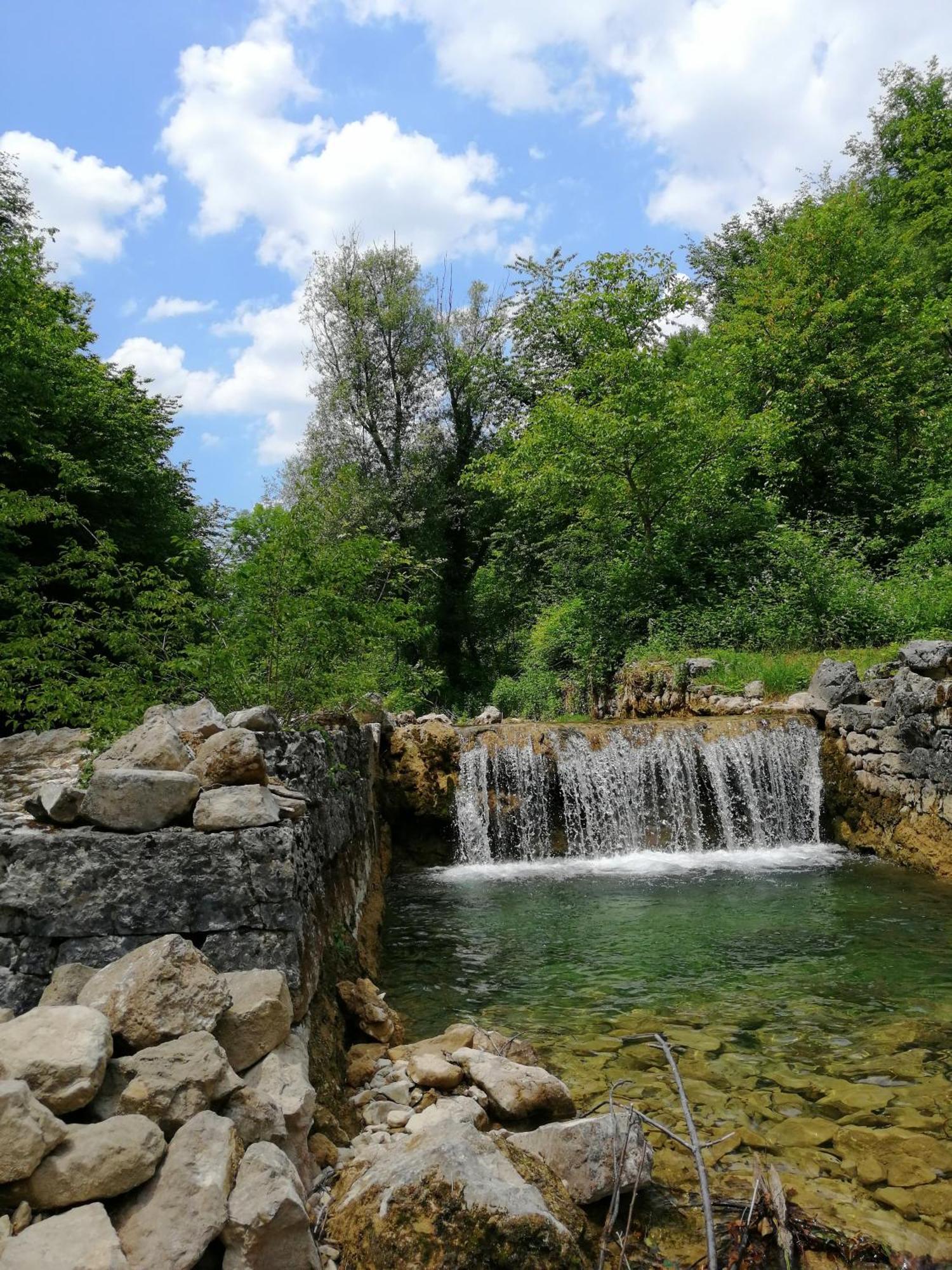 Guesthouse Pavlicic Drežnik Grad Εξωτερικό φωτογραφία
