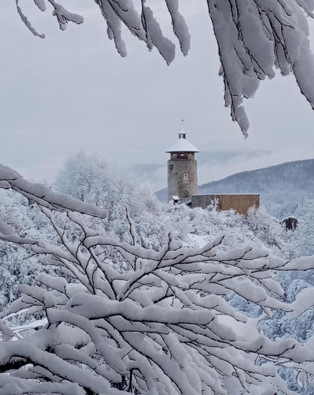 Guesthouse Pavlicic Drežnik Grad Εξωτερικό φωτογραφία