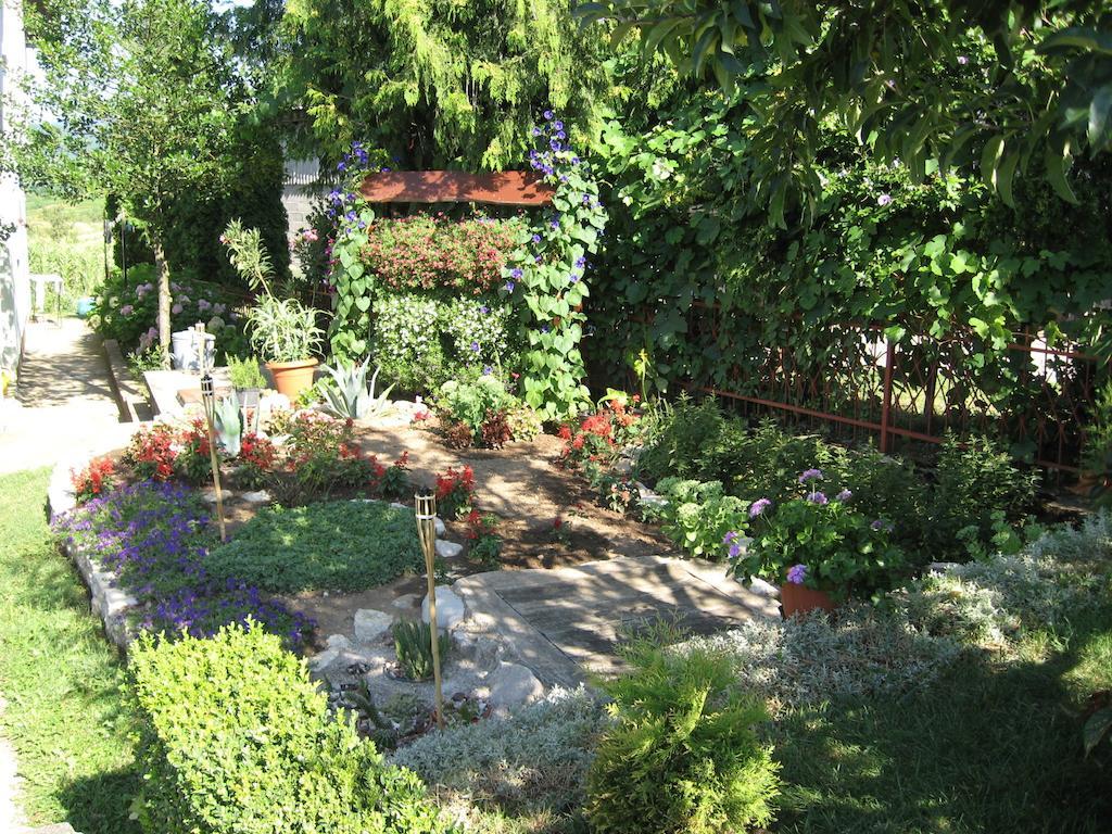 Guesthouse Pavlicic Drežnik Grad Εξωτερικό φωτογραφία