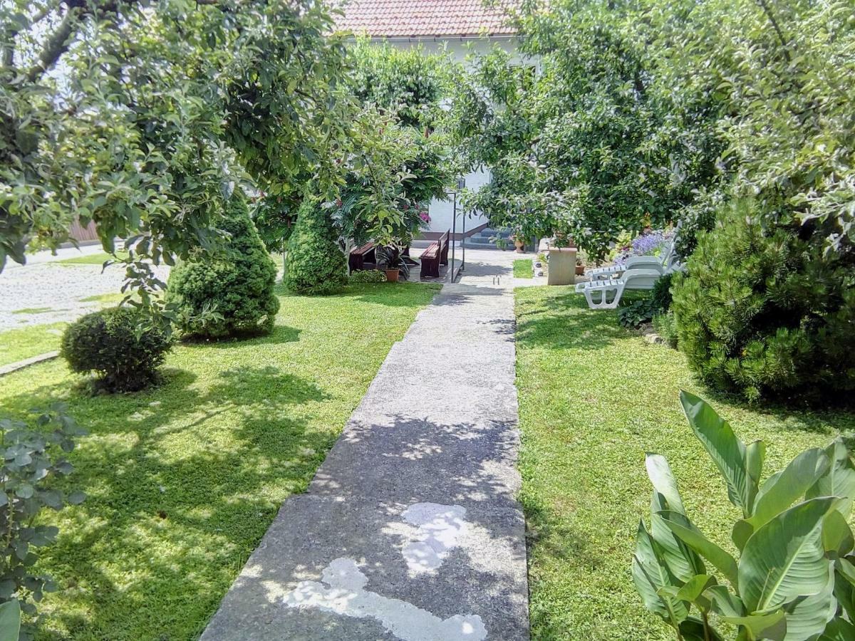 Guesthouse Pavlicic Drežnik Grad Εξωτερικό φωτογραφία