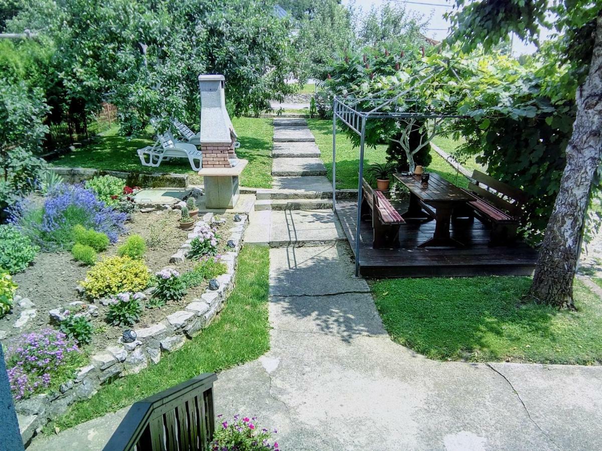 Guesthouse Pavlicic Drežnik Grad Εξωτερικό φωτογραφία