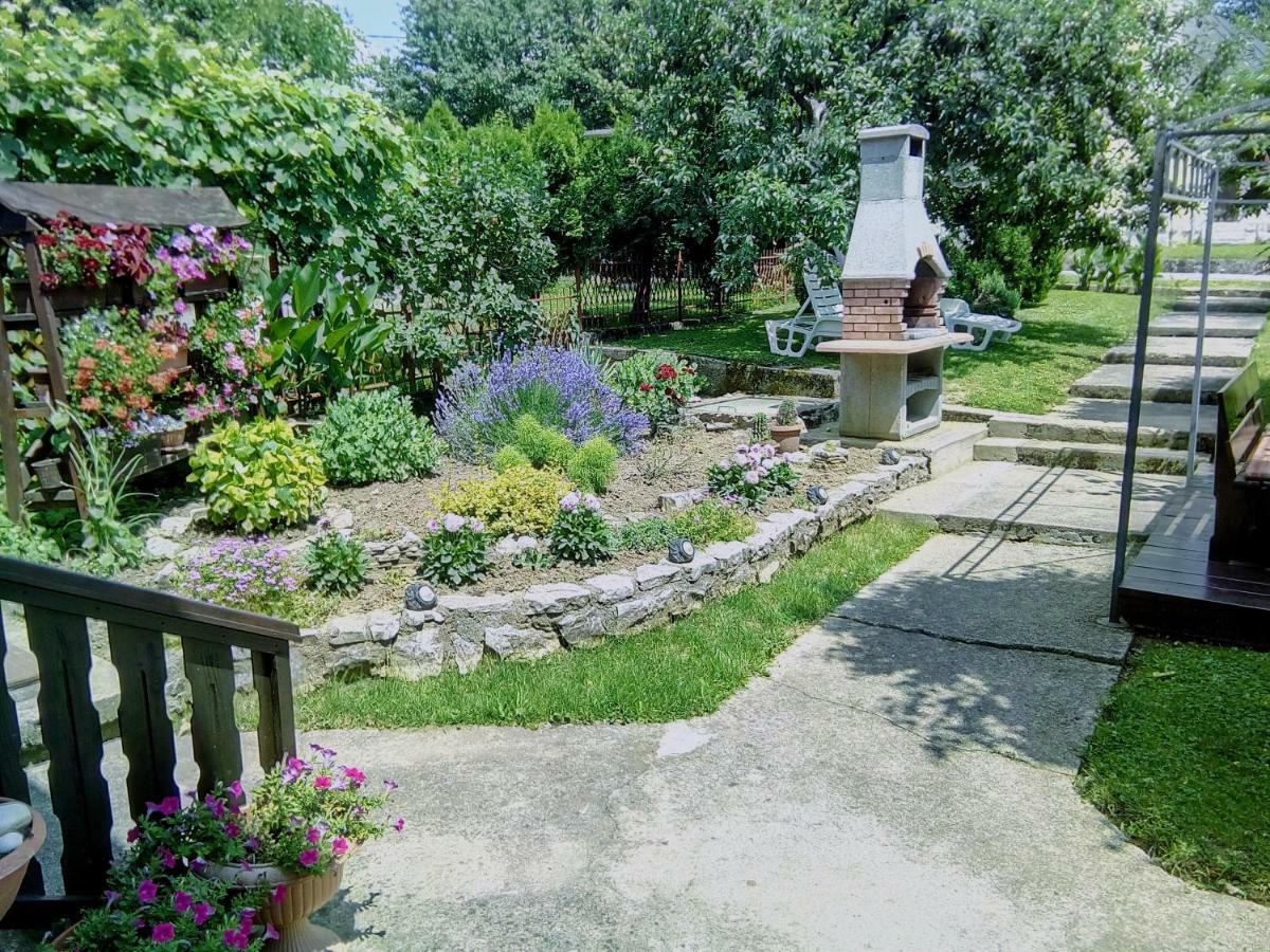 Guesthouse Pavlicic Drežnik Grad Εξωτερικό φωτογραφία