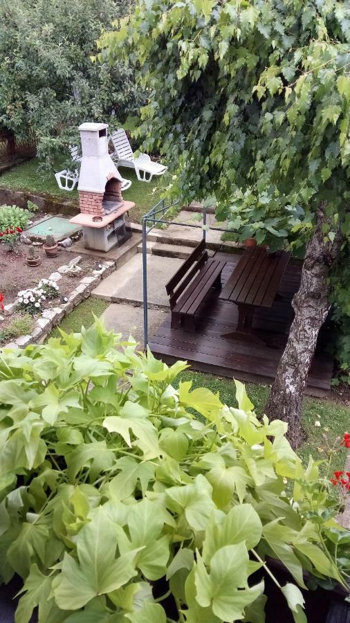 Guesthouse Pavlicic Drežnik Grad Εξωτερικό φωτογραφία
