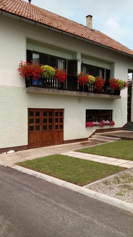 Guesthouse Pavlicic Drežnik Grad Εξωτερικό φωτογραφία