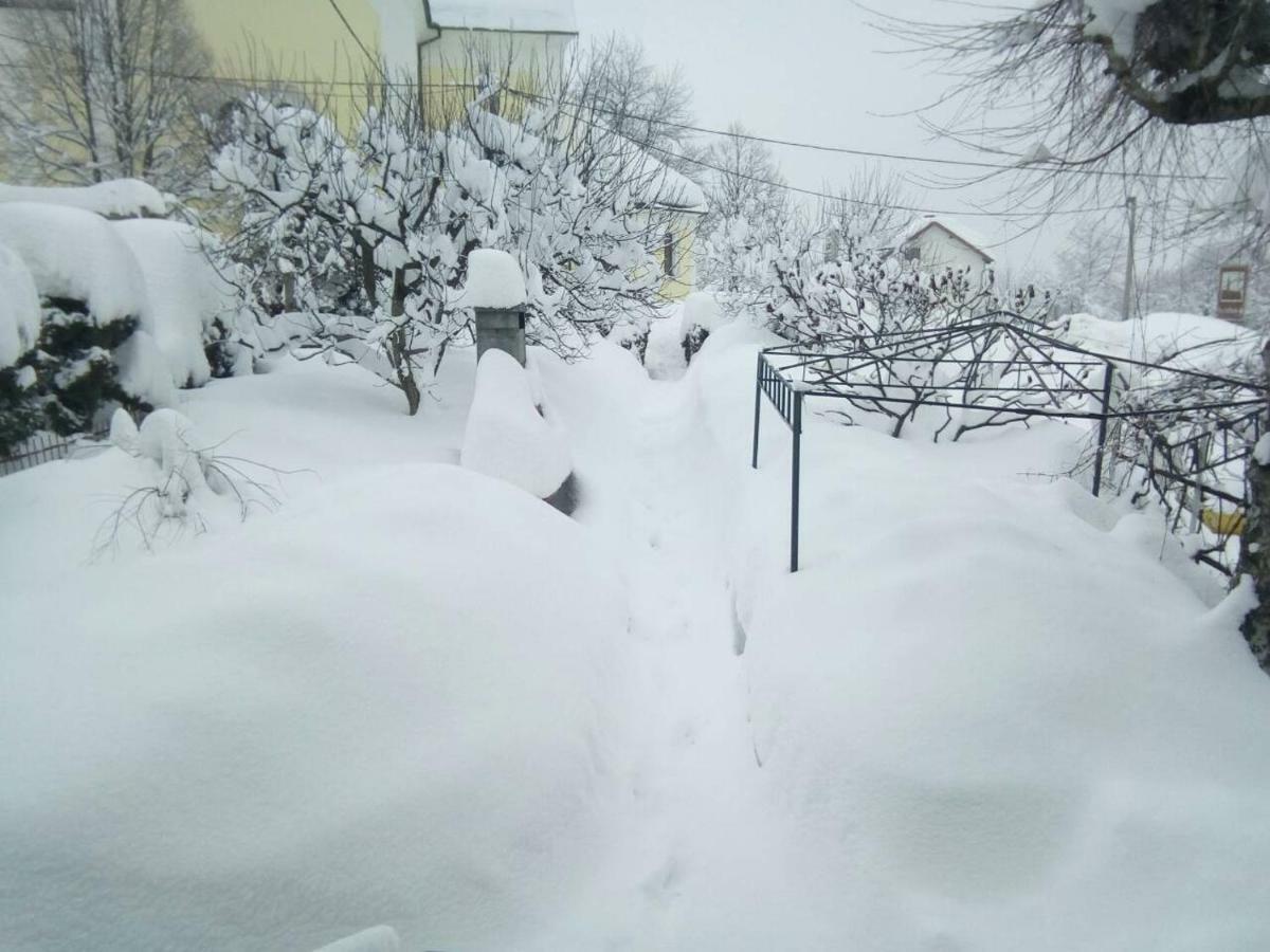 Guesthouse Pavlicic Drežnik Grad Εξωτερικό φωτογραφία